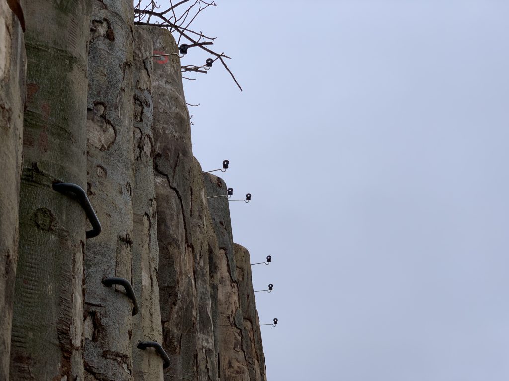 ZOO Bojnice – exteriérový výbeh pre Slony — realizácia AJ services
