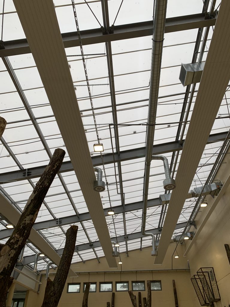 ZOO Bojnice – exteriérový výbeh pre Slony — realizácia AJ services