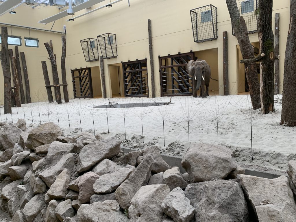 ZOO Bojnice – exteriérový výbeh pre Slony — realizácia AJ services